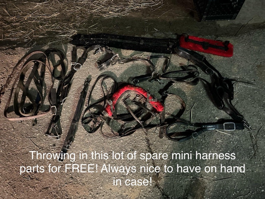 Mini Horse Harnesses & Accessories