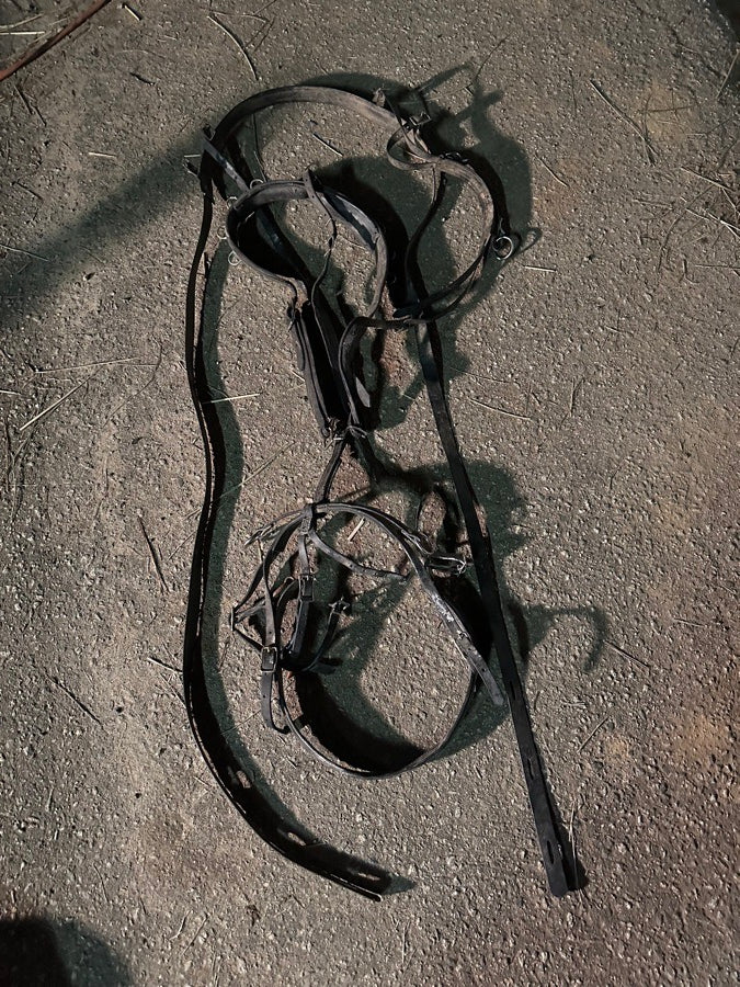 Mini Horse Harnesses & Accessories