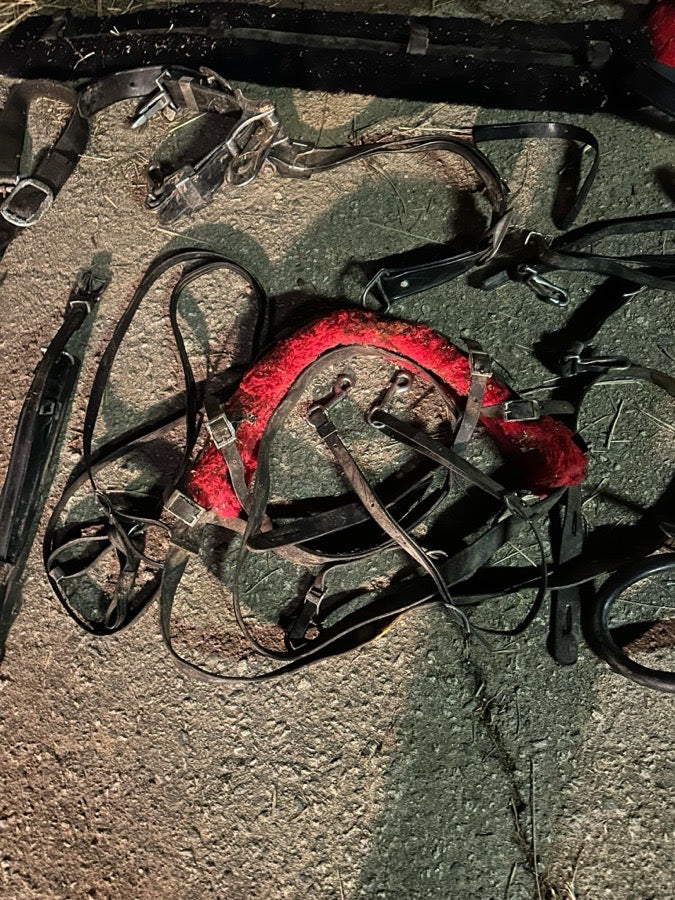 Mini Horse Harnesses & Accessories