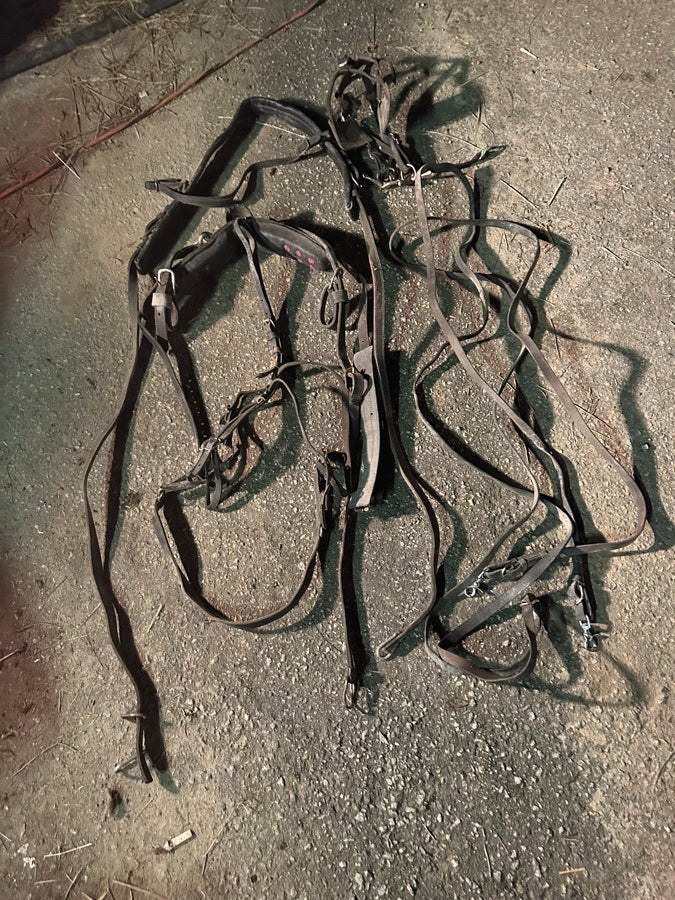 Mini Horse Harnesses & Accessories