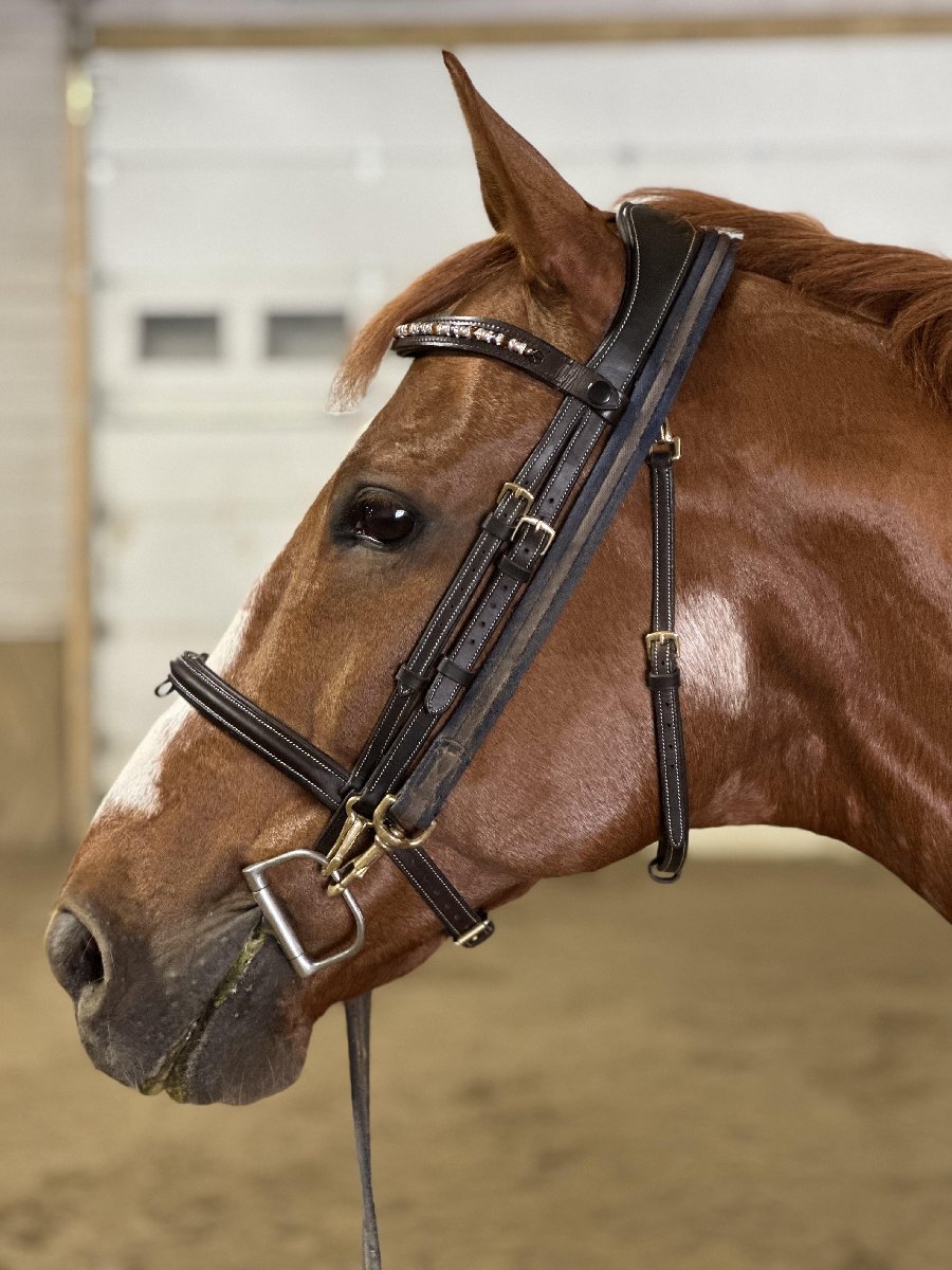 Custom Padded Snap Browbands