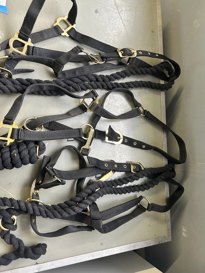 3 Gatsby Nylon Halters with cotton lead