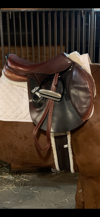 Beautiful CWD 2GS 4C in Excellent Condition with Long Forward Flap