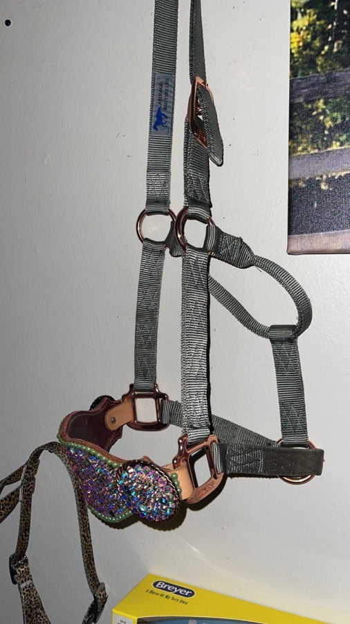 Ccc bling bronc halter