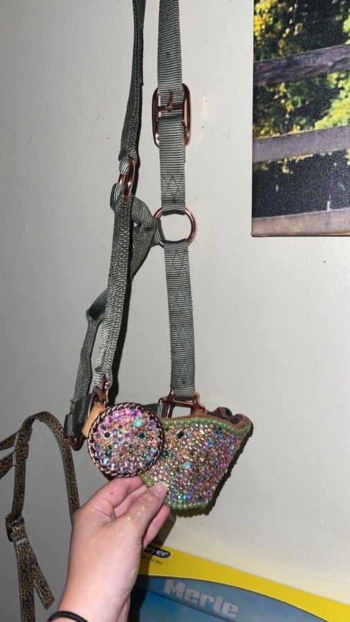 Ccc bling bronc halter