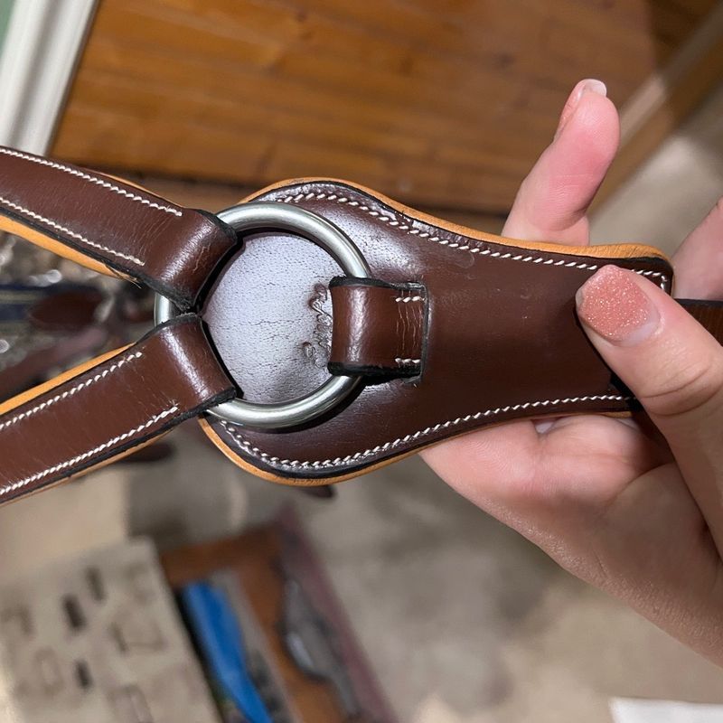 Cob sizes Five point breast plate