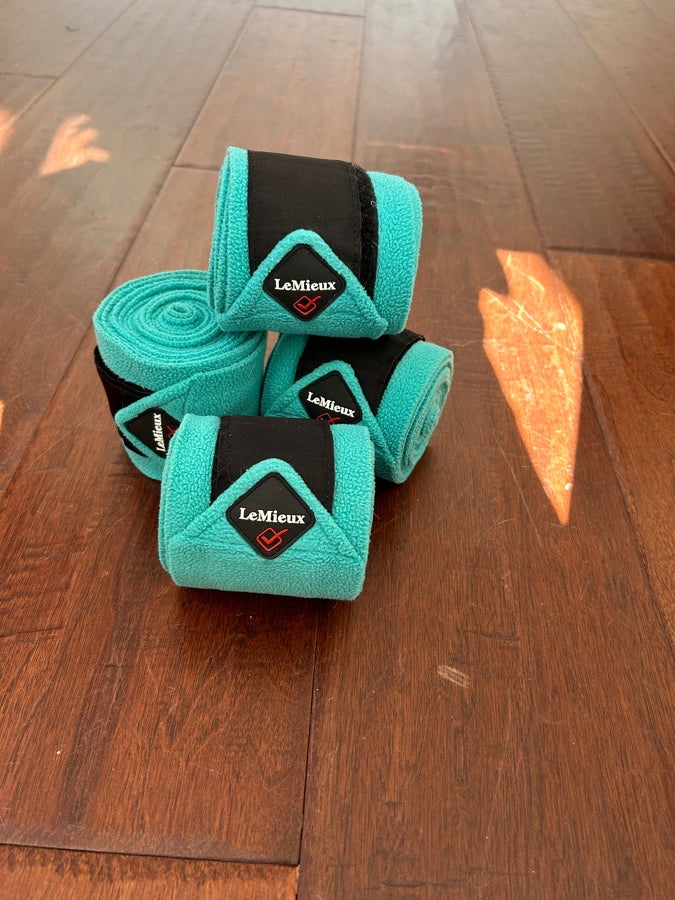 Mint Color LeMieux Pony Polos