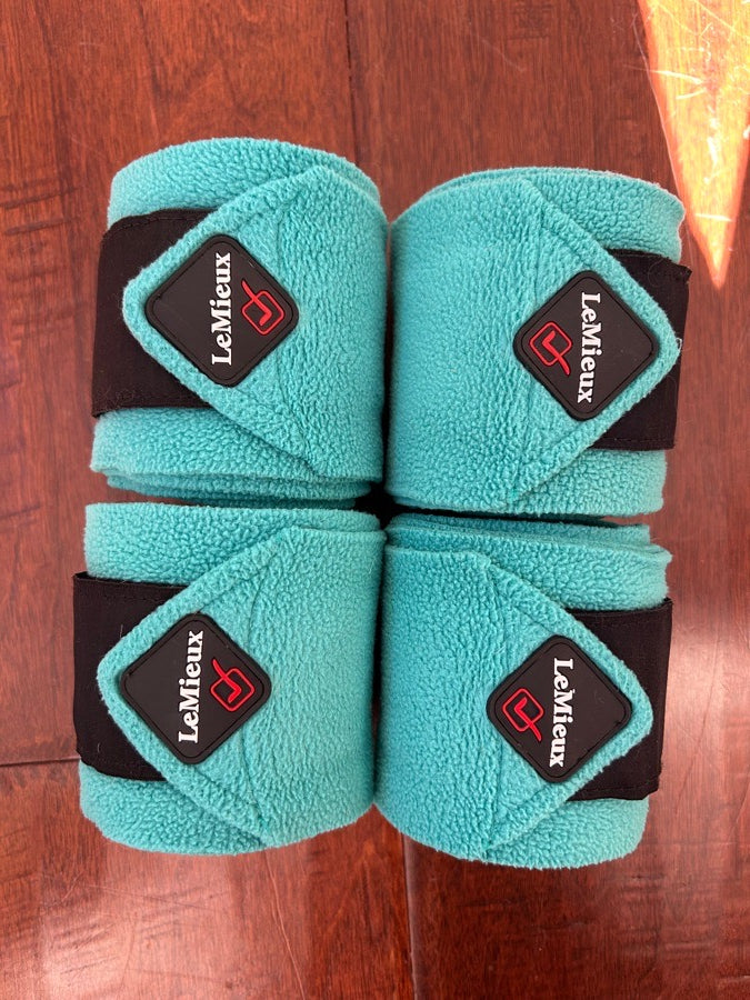 Mint Color LeMieux Pony Polos