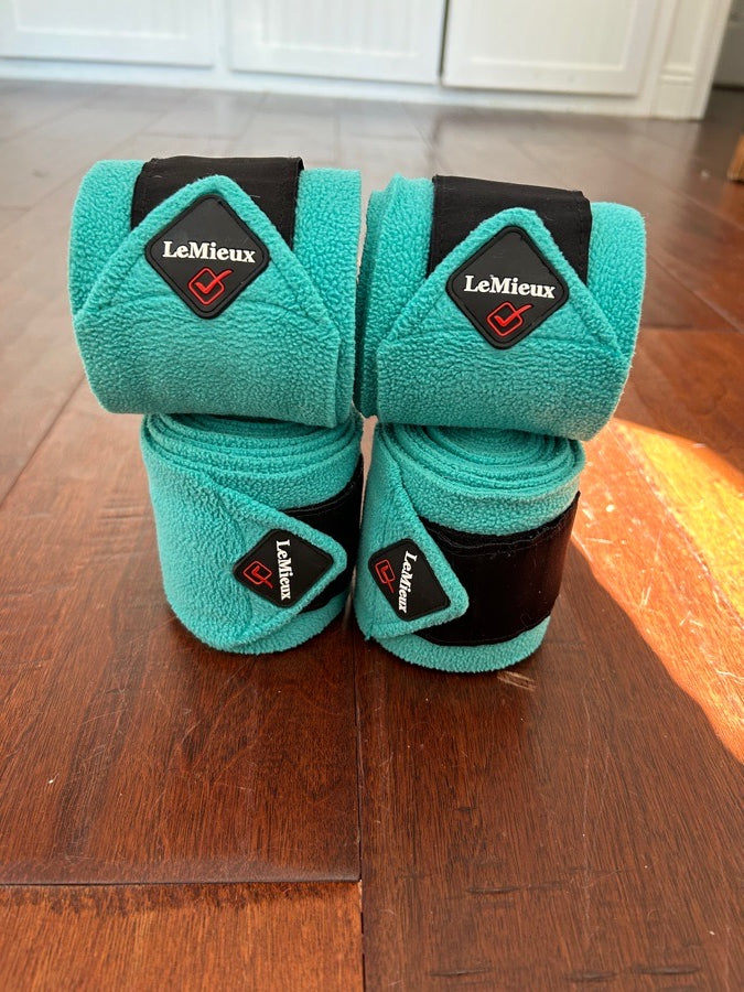Mint Color LeMieux Pony Polos