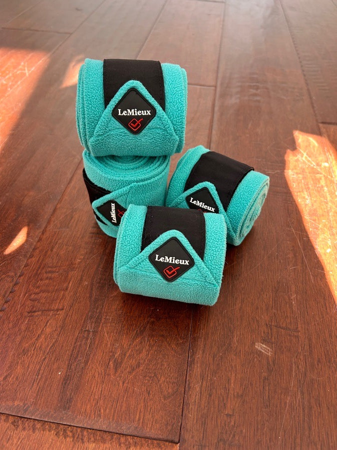 Mint Color LeMieux Pony Polos