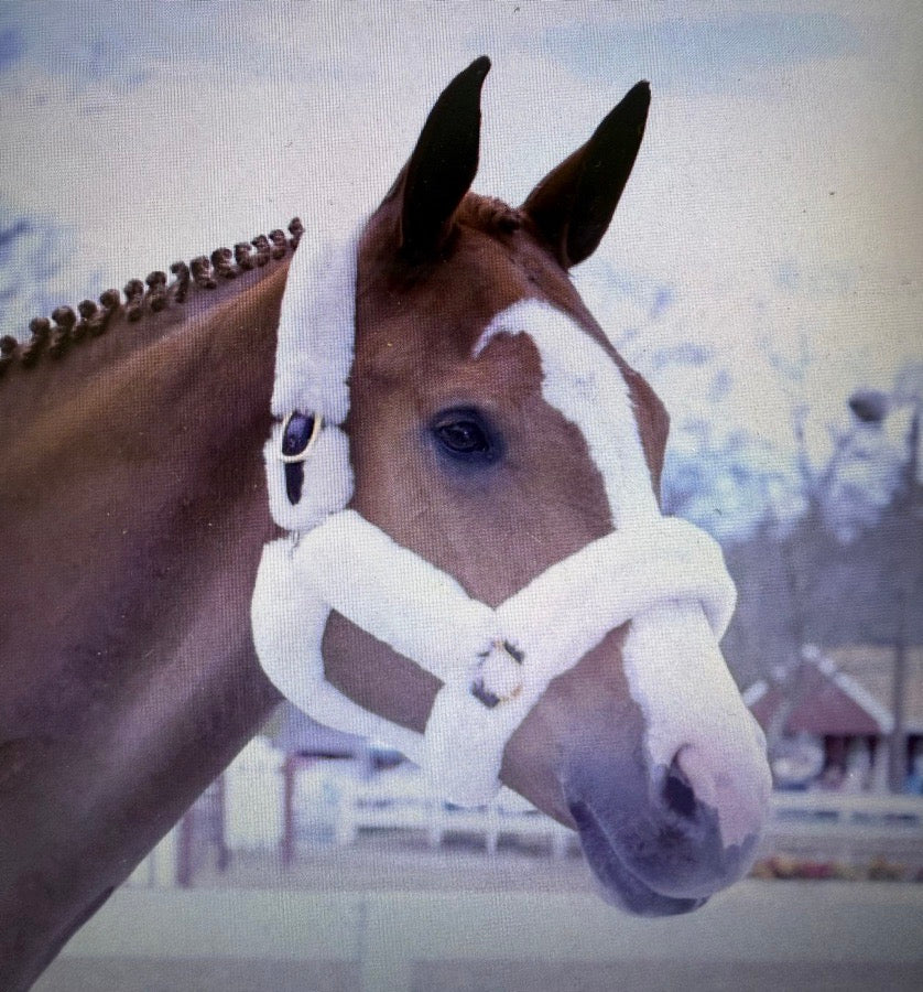 SmartPak Sheepskin Shipping Halter