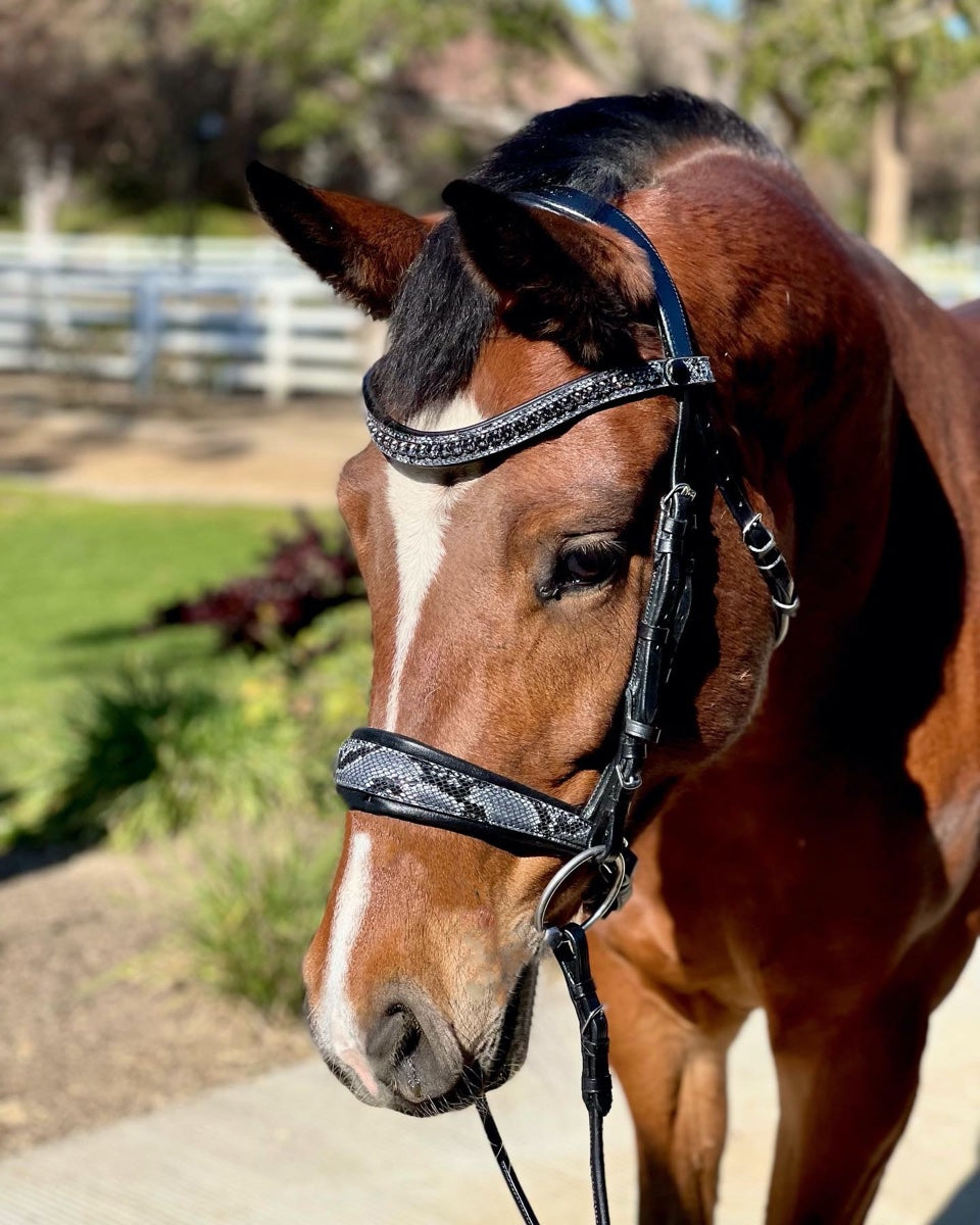 Halter Ego Limited Edition Medusa Snaffle Bridle NO FLASH (2)