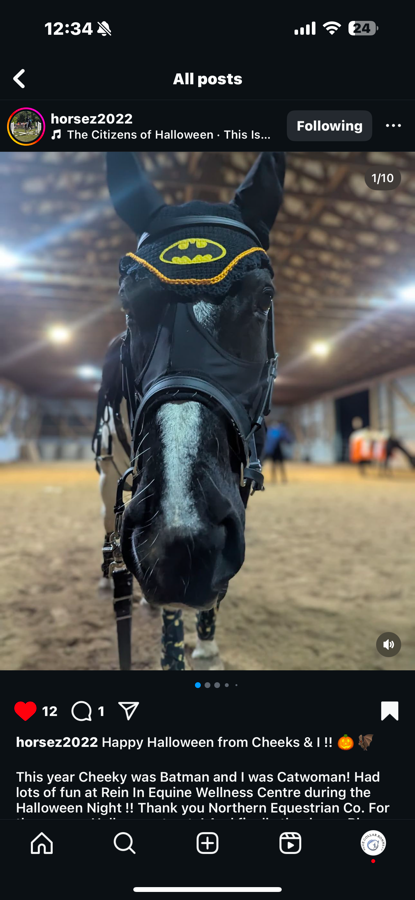 Custom Fly Bonnets