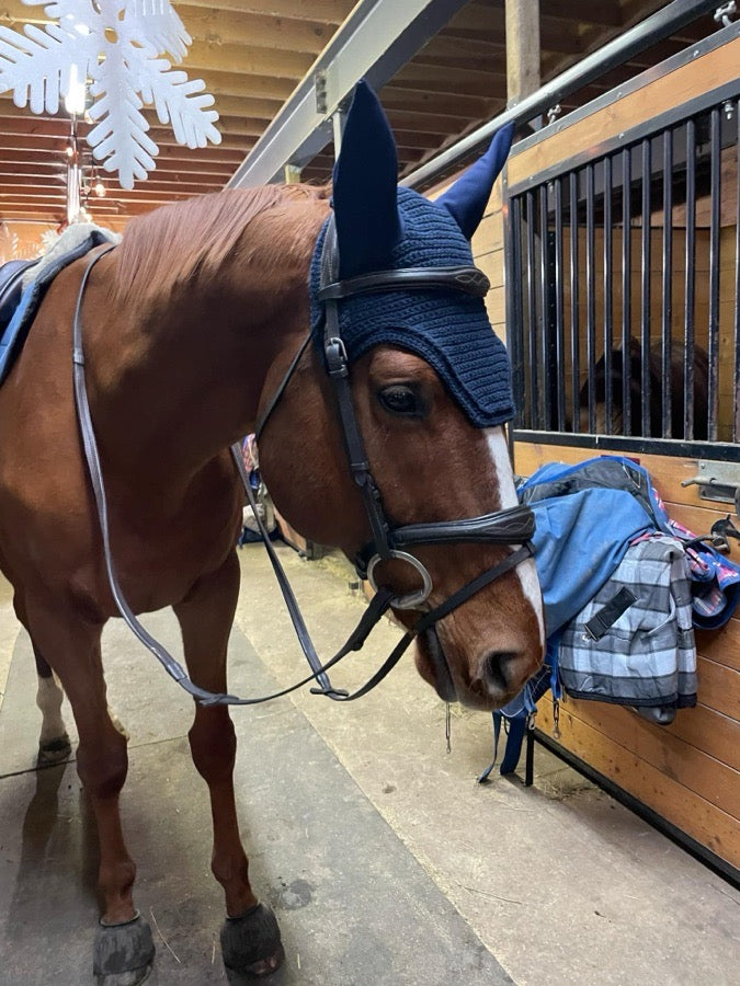 Custom Fly Bonnets