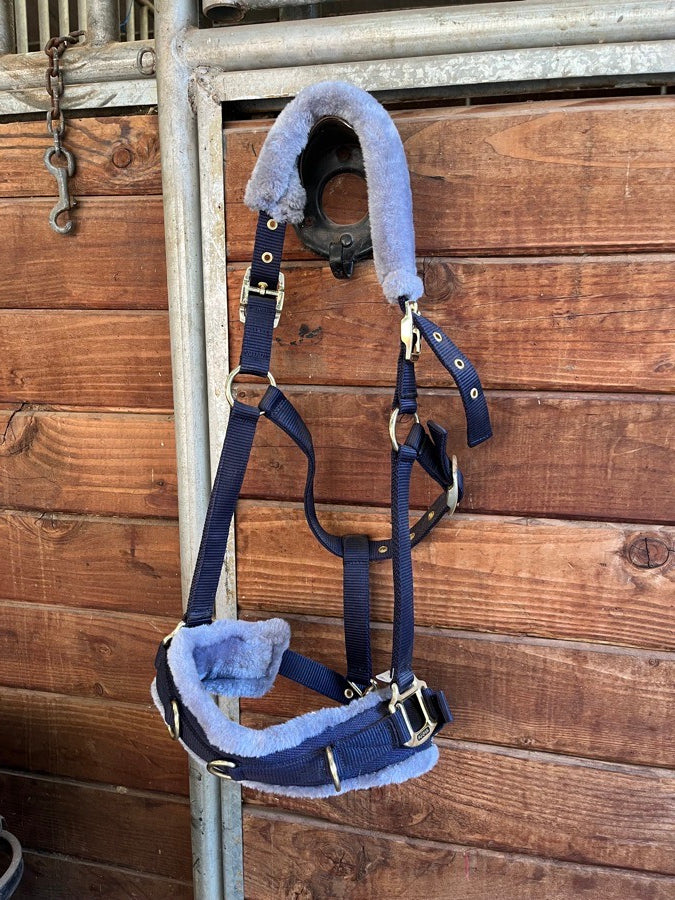 ARMA Navy Fleece Lunging Cavesson