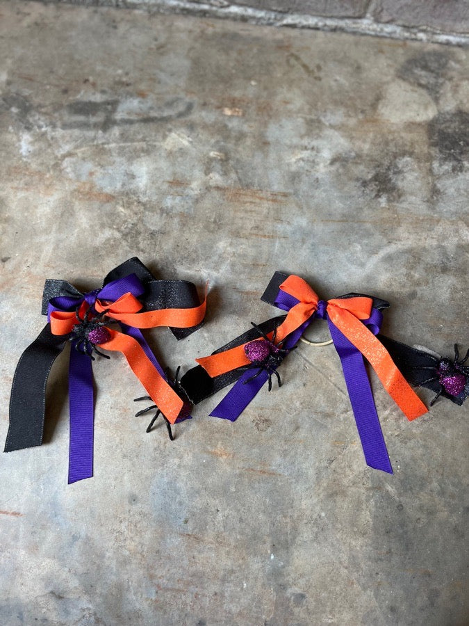 Spider  show bows