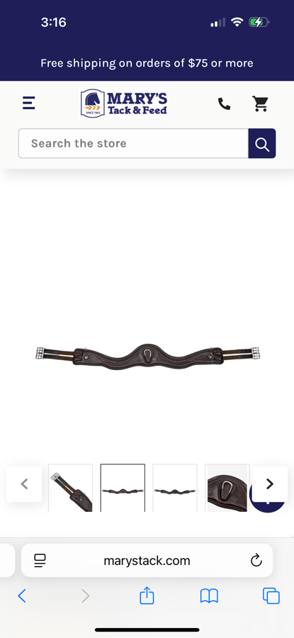 LEMIEUX Lemieux Gel-Tek Anatomic Jumping Girth (3)