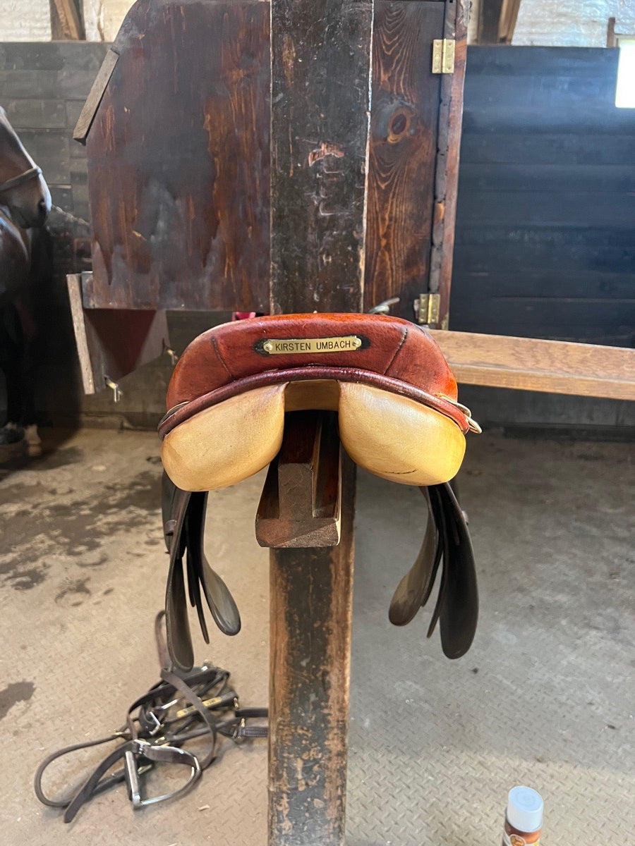 BEVAL 16 Beval Saddle for sale! (5)