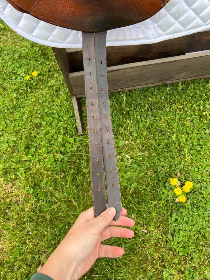 17.5” XN Stubben Zaria Optimum