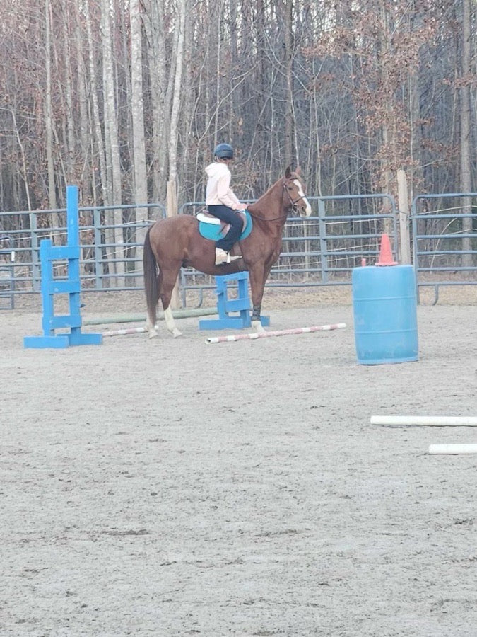 WEATHERBEETA Teal dover saddlery saddle pad (2)