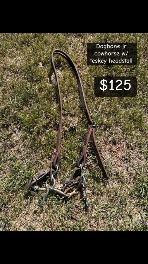 Other Dogbone Jr cowhorse with headstall