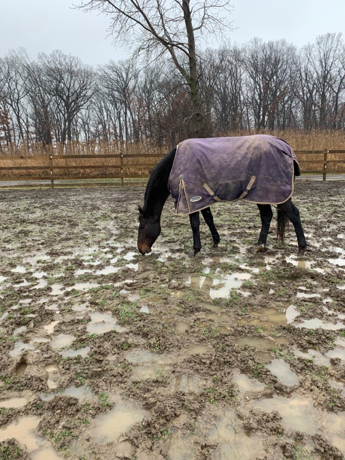 78” Weatherbeeta Sheet