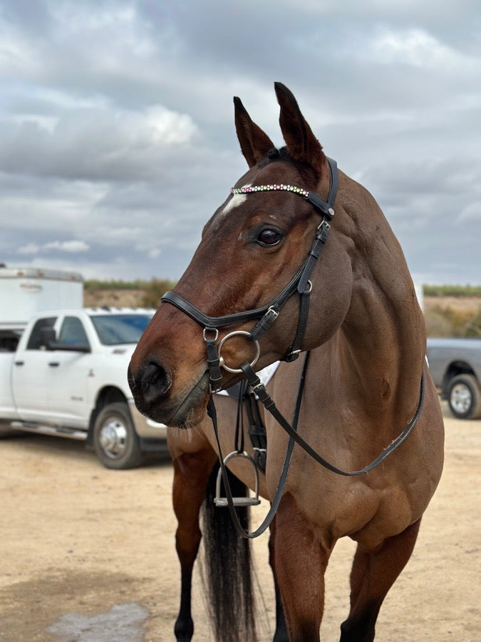 Stubben Magic Tack Loops and Bling Browband