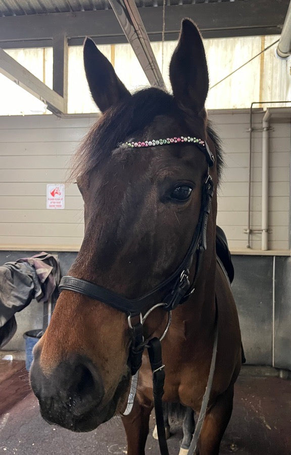 Stubben Magic Tack Loops and Bling Browband