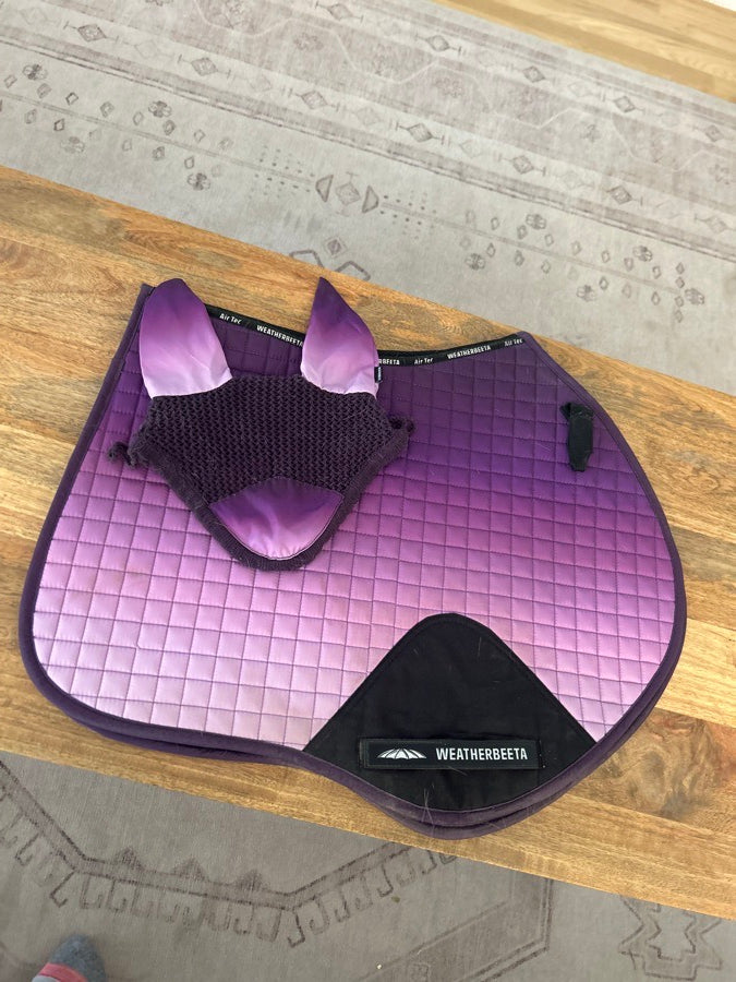 WEATHERBEETA Purple spectrum Weatherbeeta set