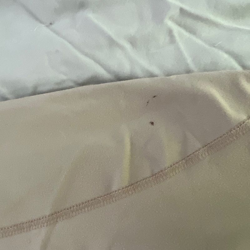 Kerrits Youth M breeches