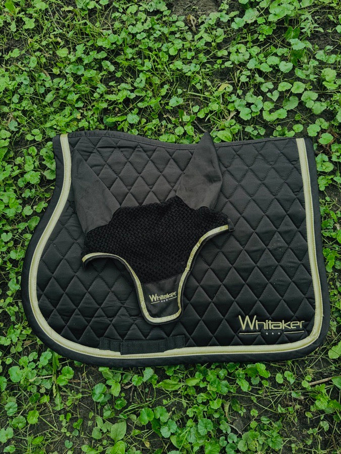 Other Saddle Pad & Ear Bonnet Whitaker 🖤💛
