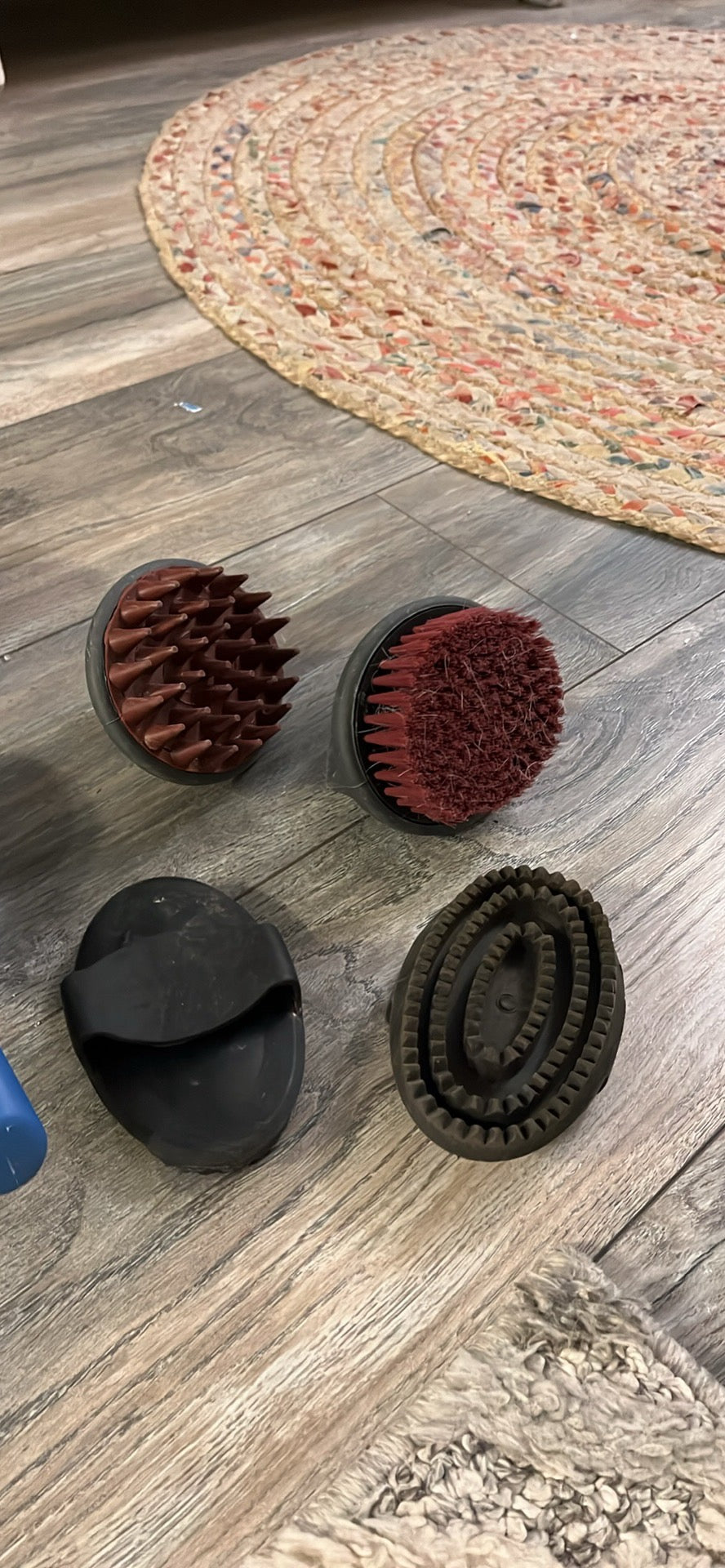 Horse grooming brushes
