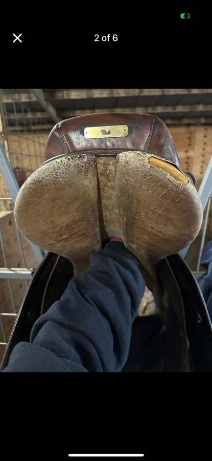 Collegiate Saddle 17”
