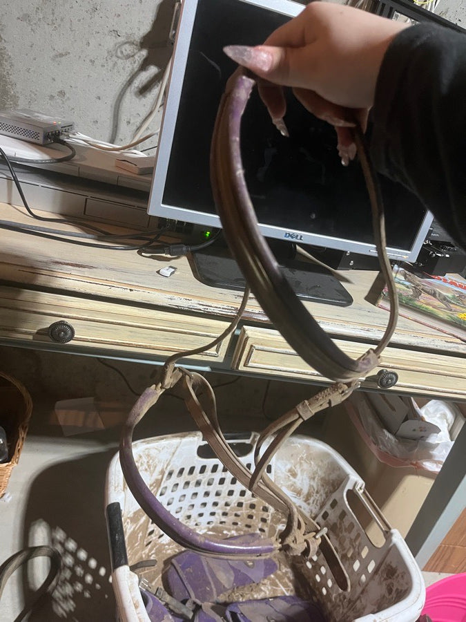 Other Old purple bridle