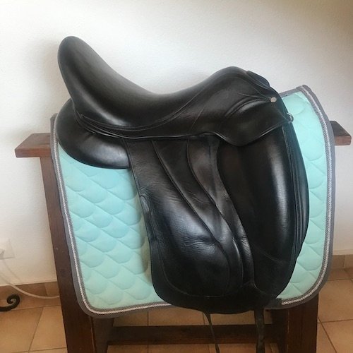 18" Antares Concept (measures large)