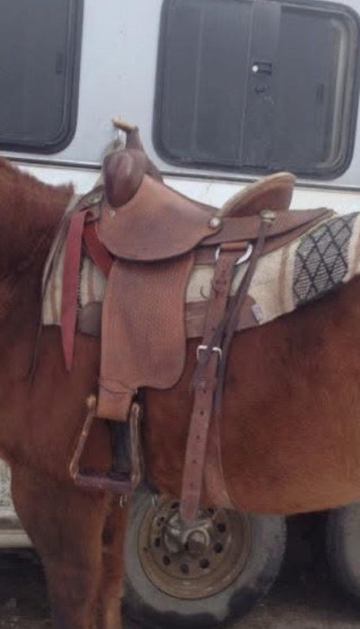 Other 15” Ranch Western Saddle (3)