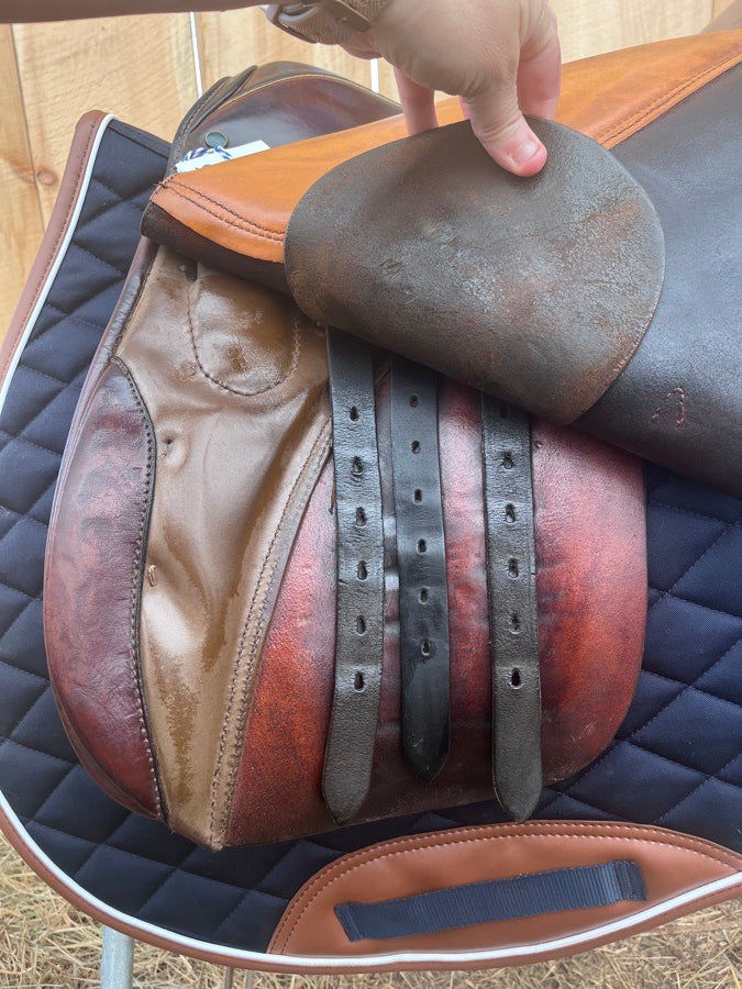 STUBBEN Stubben Sigfried 17” MW AP (5)