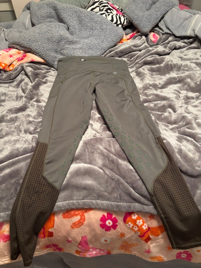 Ariat legging breech