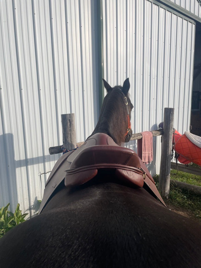 KINCADE Kincade saddle (3)
