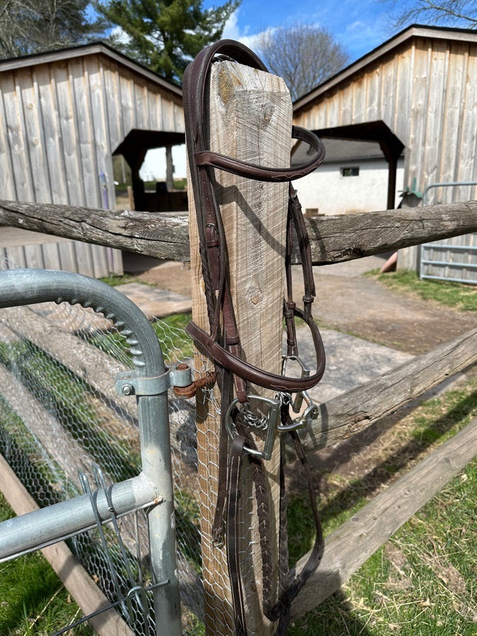 CWD Bridle and Reins