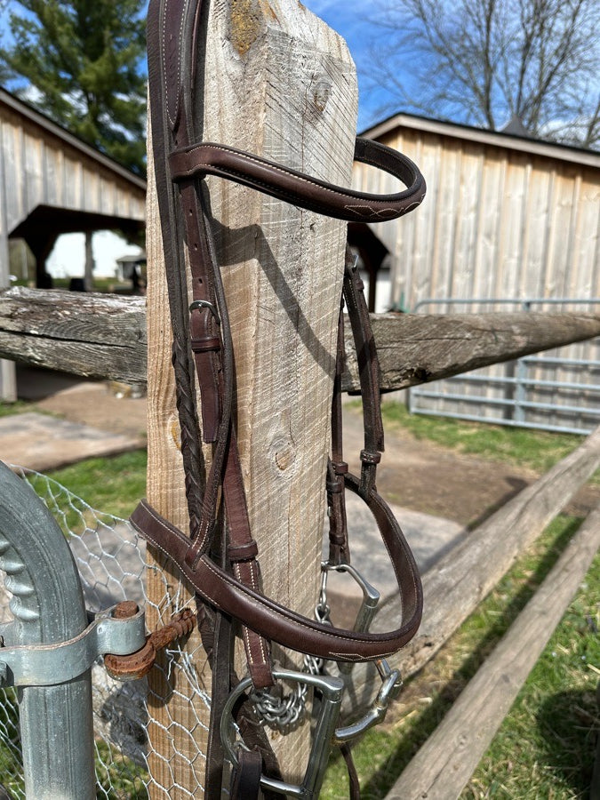 CWD Bridle and Reins