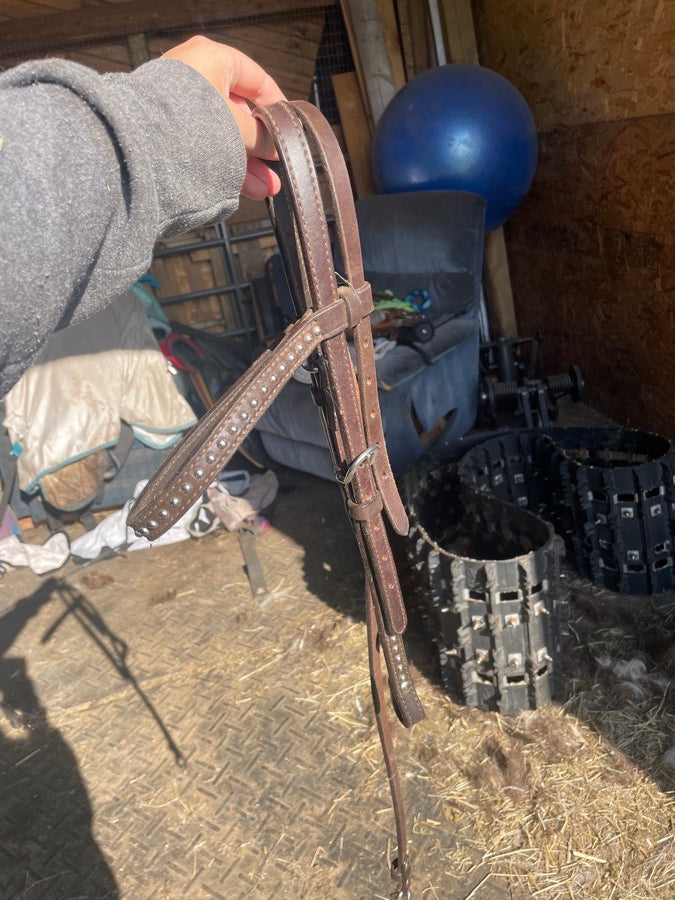 WEAVER LEATHER Western headstall (3)