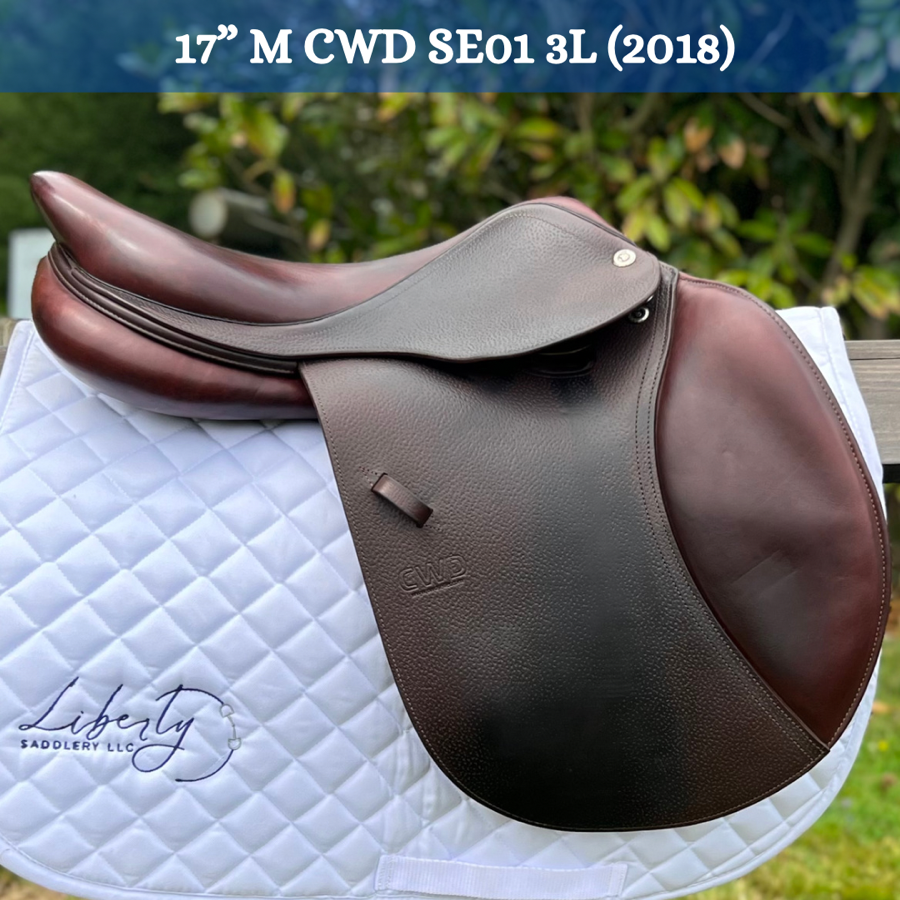 17” CWD SE01 3L