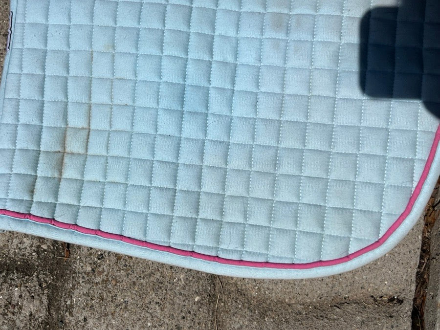 PACIFIC RIM INTERNATIONAL PRI princess pony pad (2)