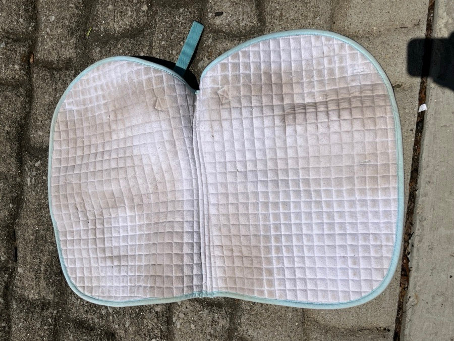 PACIFIC RIM INTERNATIONAL PRI princess pony pad (3)