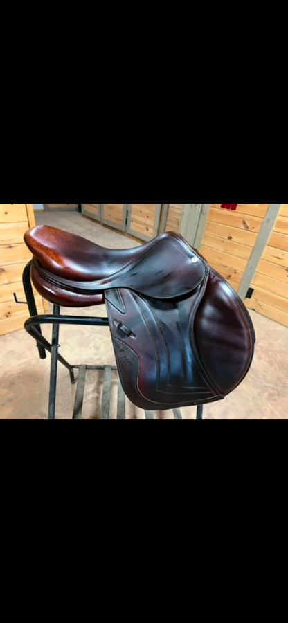 CWD CWD saddle (2)