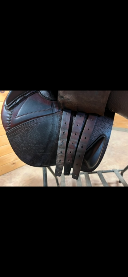 CWD CWD saddle (7)