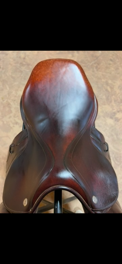 CWD CWD saddle (3)
