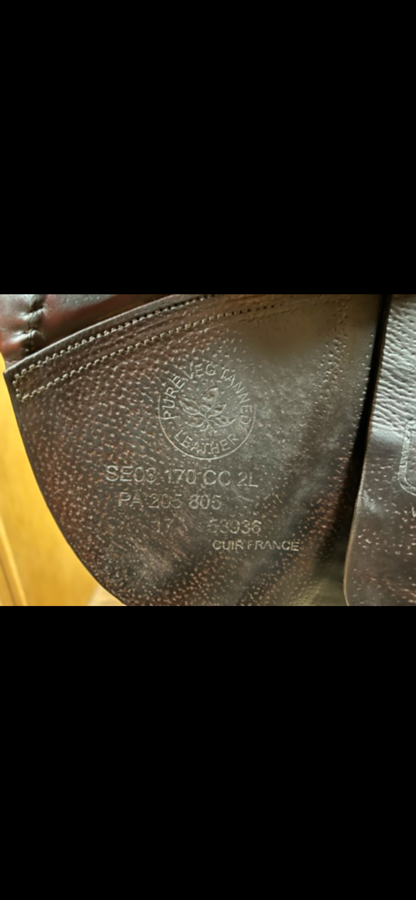CWD CWD saddle (4)