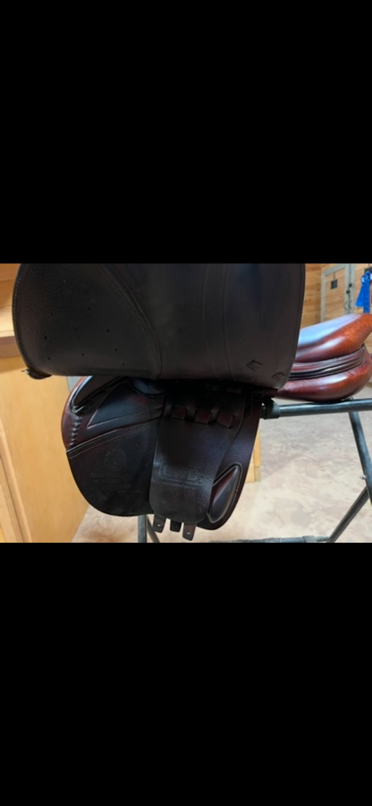 CWD CWD saddle (6)